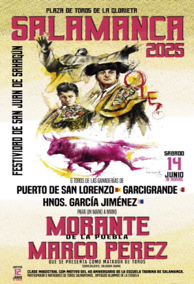 Toros Salamanca 2025